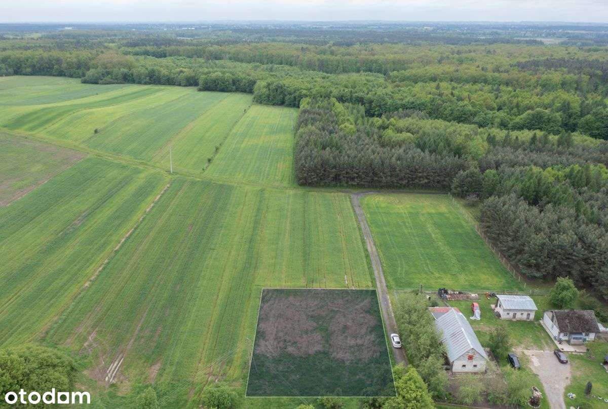 Cisza | Spokój | Las | Budowlana - Pełny obrazek: 5/6