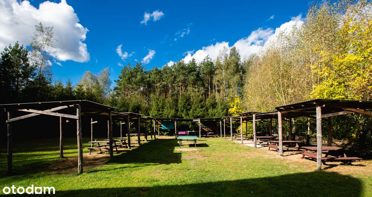 Dom i biznes w otoczeniu lasu-12