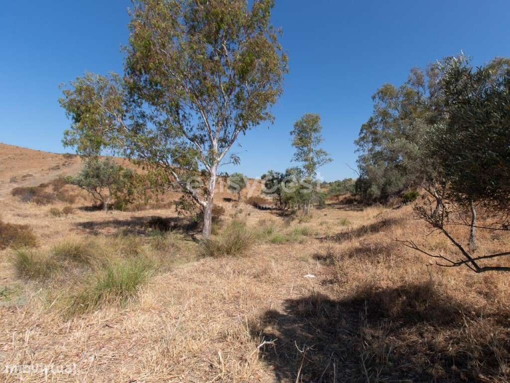 Lote de Terreno Rústico de cultivo nas Fontainhas - Castro Marim - Grande imagem: 3/26