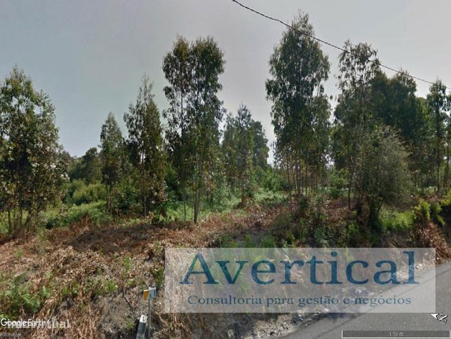 Terreno com 8.500m2-11