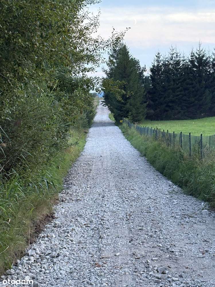 Działka w Tomaszkowie - nowa cena !-8