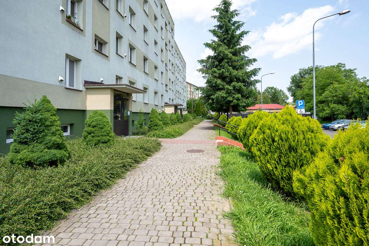 Mieszkanie dwupokojowe na Zasaniu - Pełny obrazek: 3/13