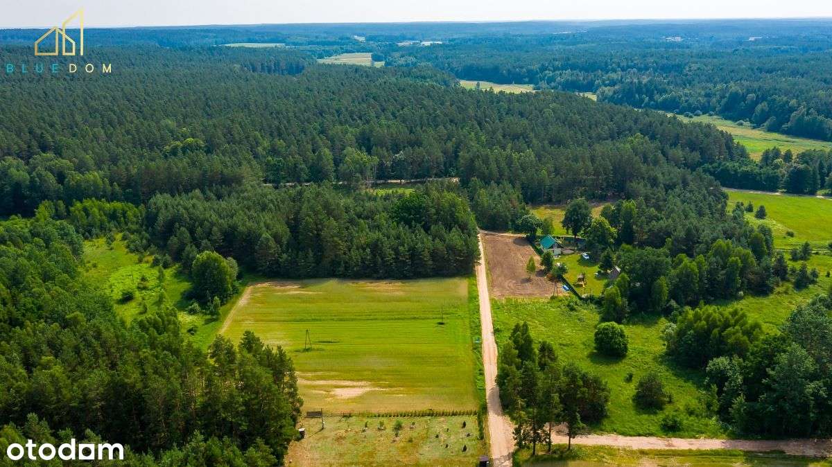 Działka w spokojnym miejscu - Królowe Stojło - Pełny obrazek: 4/9