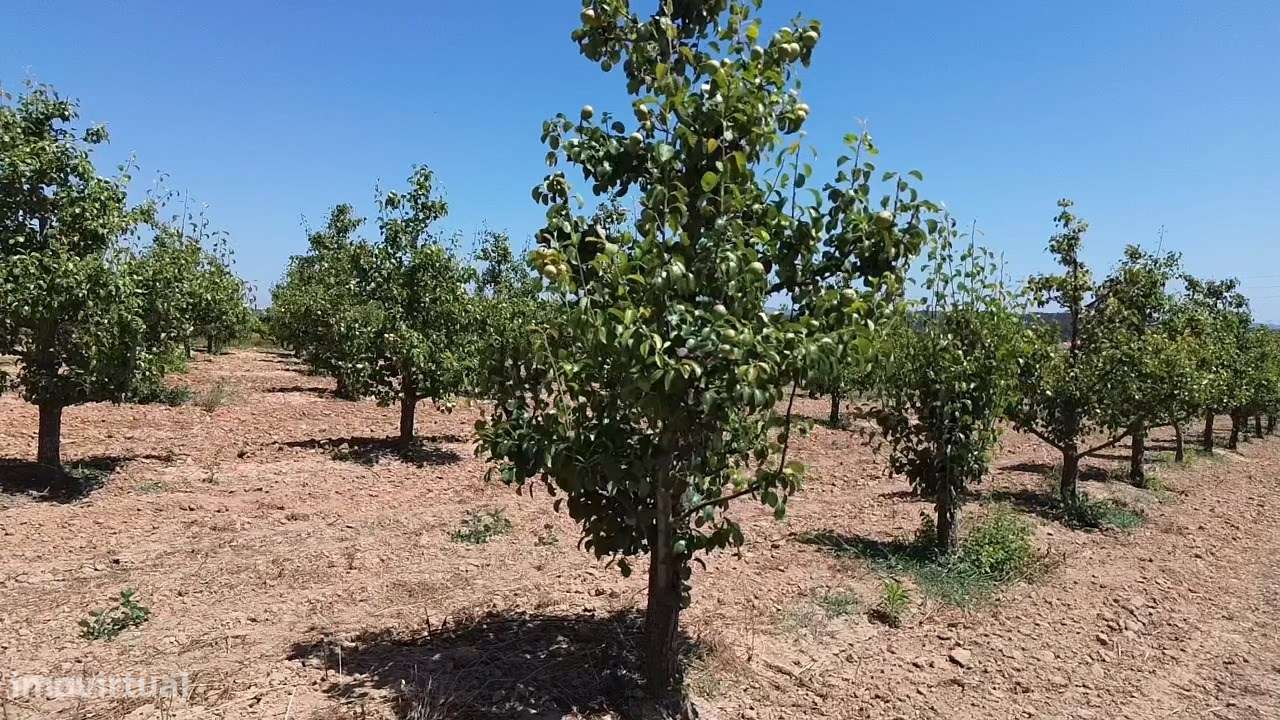 Terreno com projecto em aprovação com 3260 m2-11