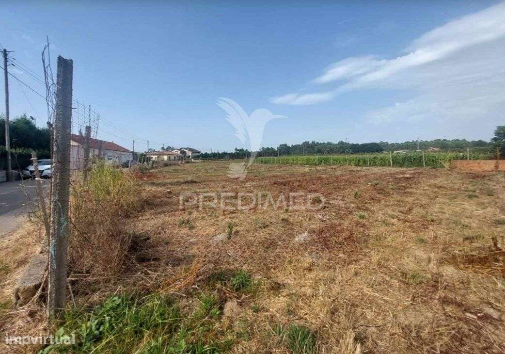 Terreno Rústico em Oiã com 4.190m2 - Grande imagem: 2/5