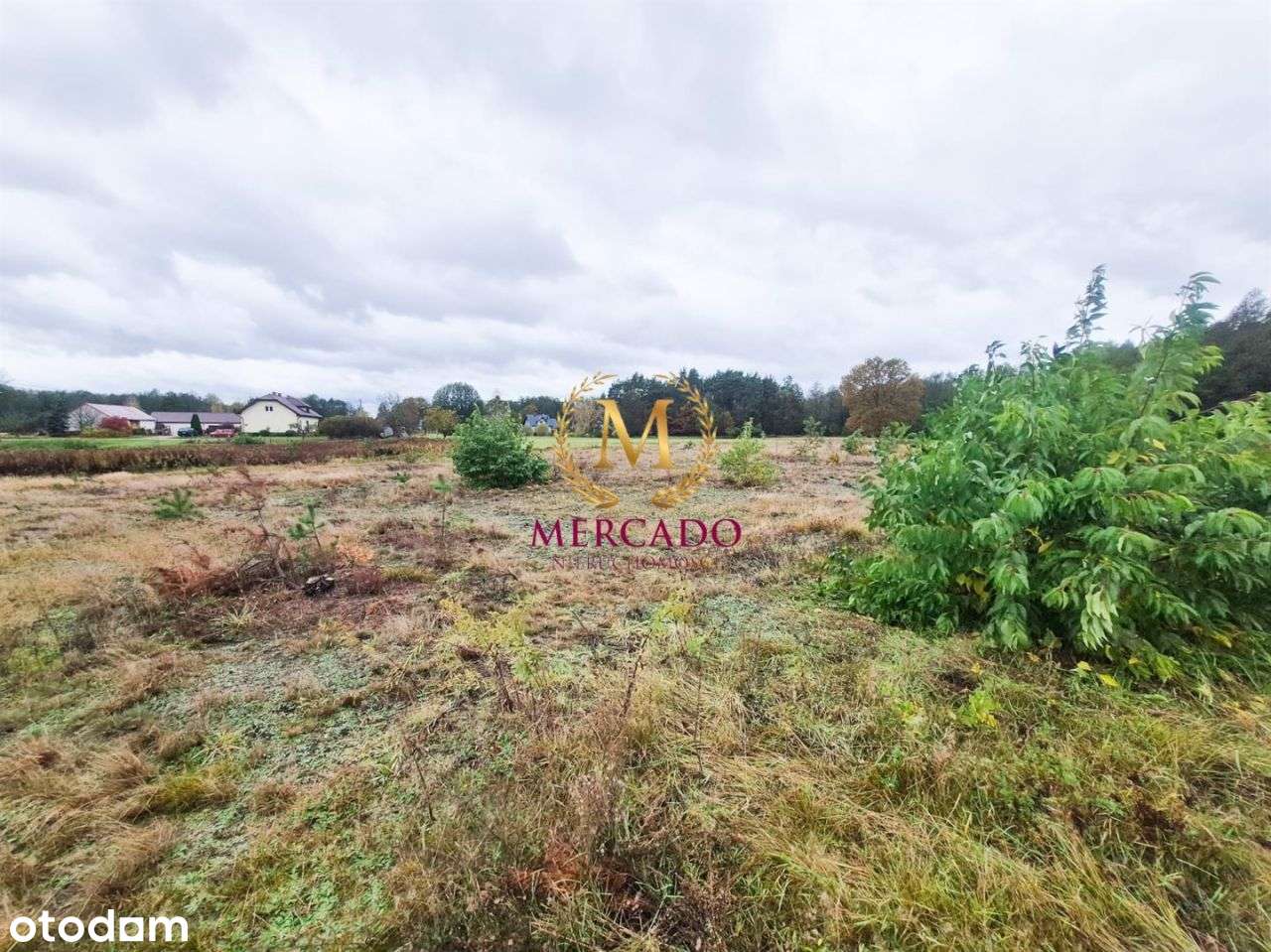 Działka 1636 m² osiedle pod Sosnami- Nowe Grabie - Pełny obrazek: 4/4