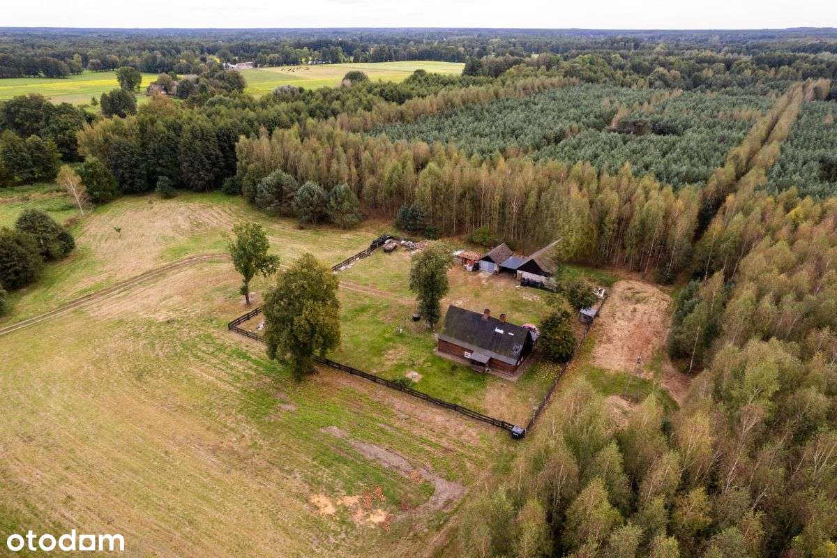 Siedlisko w m. Boruja Nowa-16