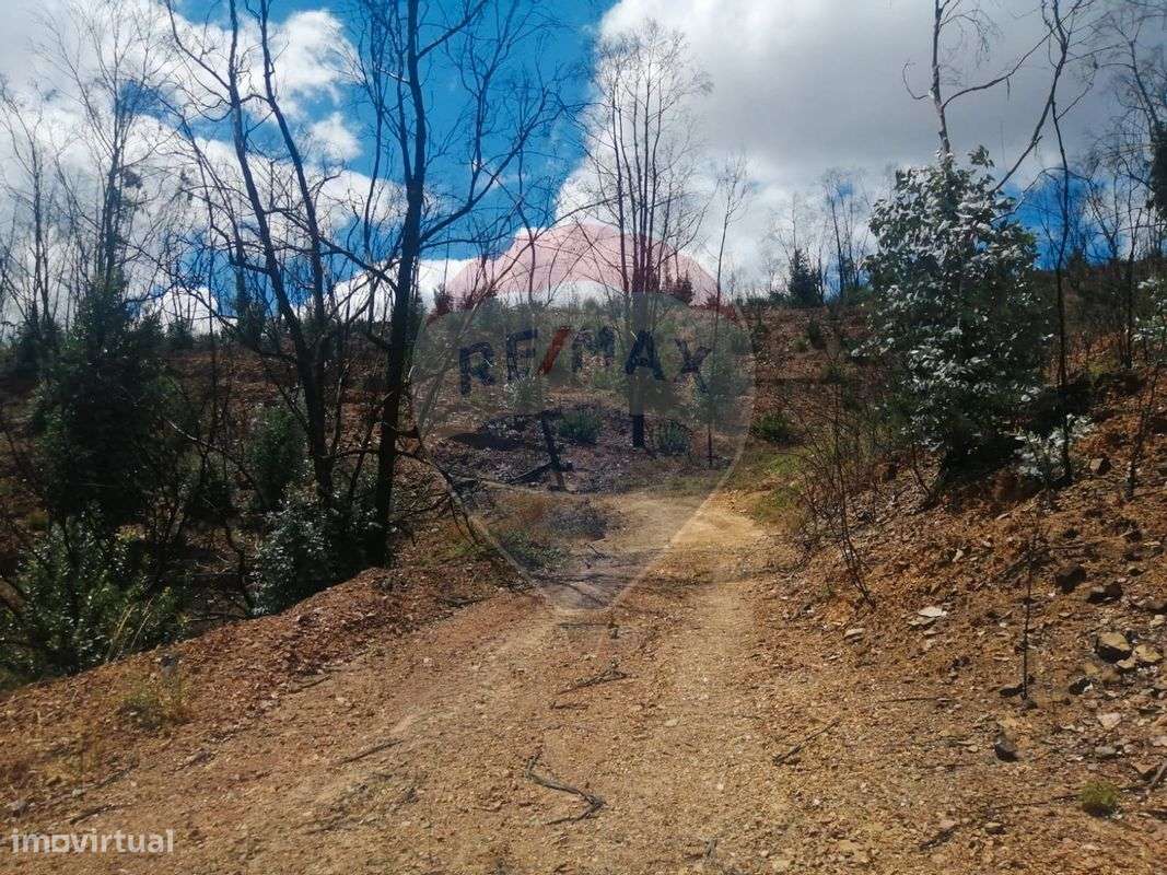 Terreno  para venda - Grande imagem: 5/14