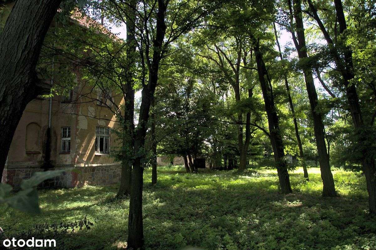 budynek po szkole 672m2 na działce 6700m2, Udanin,-5