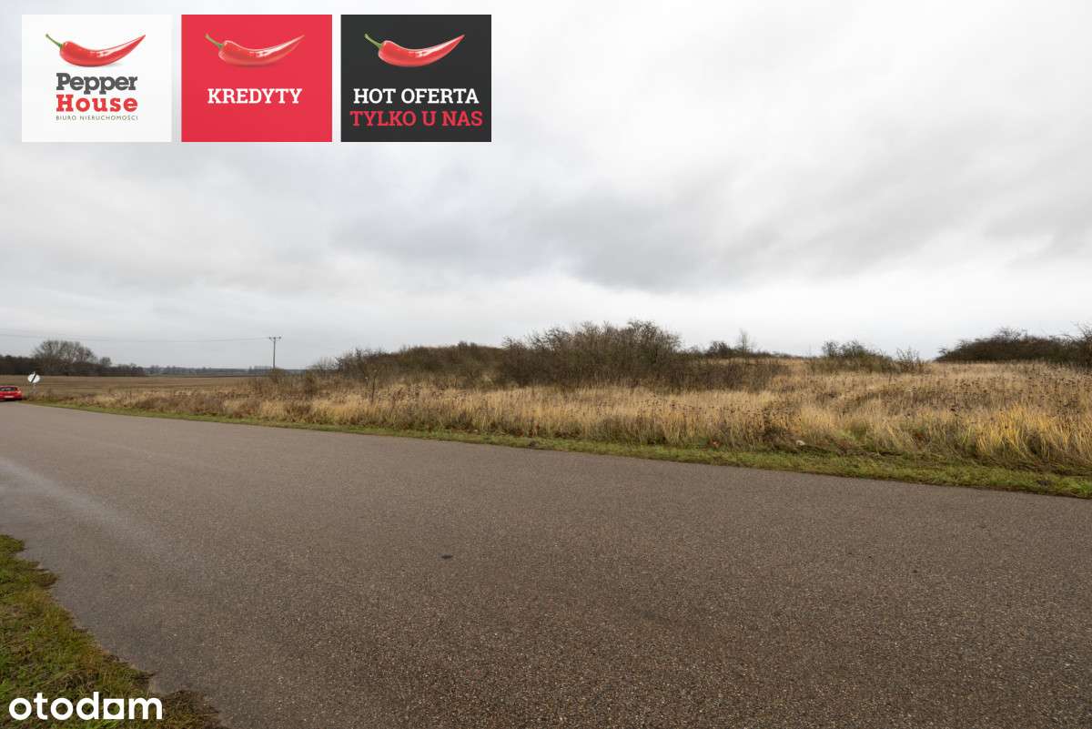 Działka przemysłowa - Pełny obrazek: 3/10