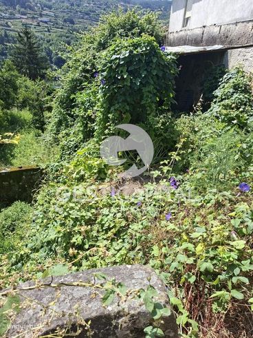 Quintinha com vista para o Douro em Magrelos, Marco de Canaveses-13