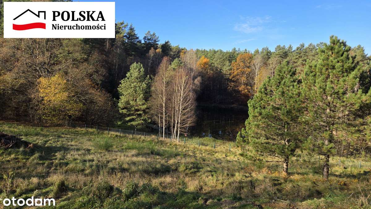 Dom całoroczny z wielką działką i stawem - Pełny obrazek: 5/20