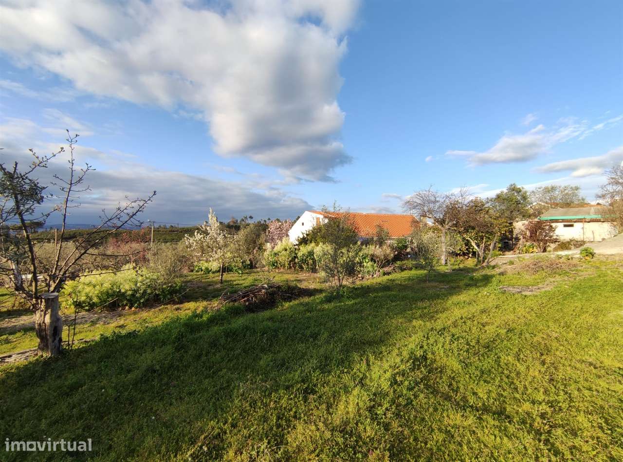 Moradia Isolada T3 Venda em Figueiró da Serra e Freixo da Serra,Gouvei-9