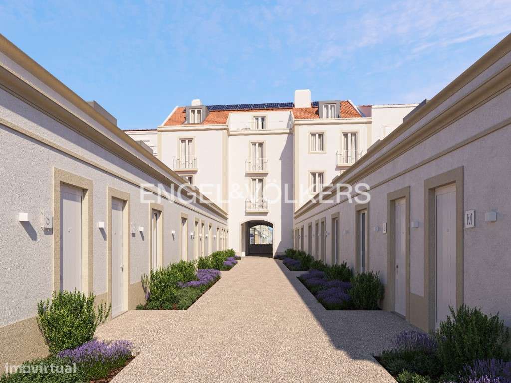 Barão 65 - Grande imagem: 4/19