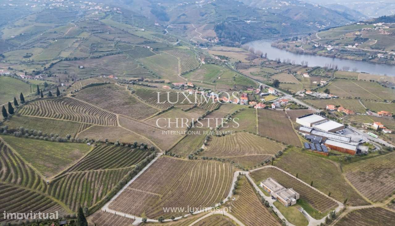 Quinta vinícola à venda no Alto Douro Vinhateiro, Douro Valley - Grande imagem: 3/21