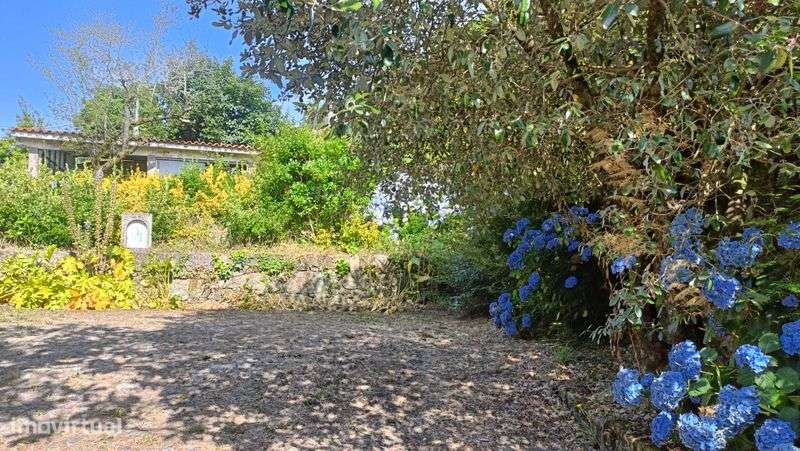 Quintinha Em Esposende para Venda - Grande imagem: 5/12