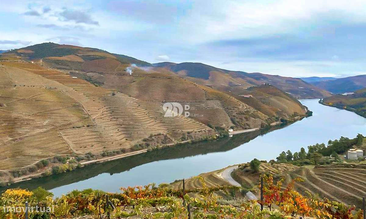 Terreno com vinha -  Douro - Grande imagem: 2/18