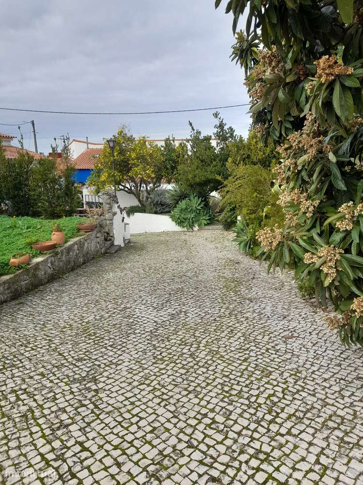 Azeitão/ Parque Natural Arrábida Quinta 7250 m2 com Moradia-28