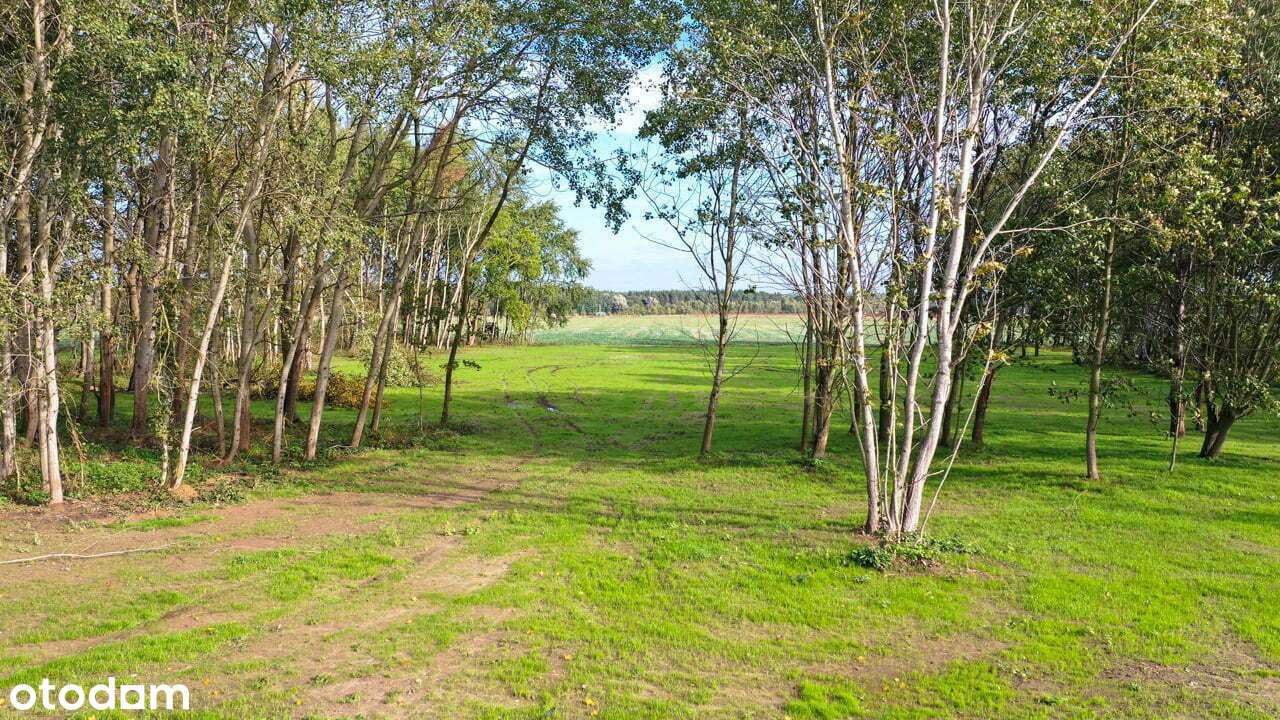 Wydane WZ, w sąsiedztwie nowej zabudowy, w trakcie uzbrajania - Pełny obrazek: 4/13