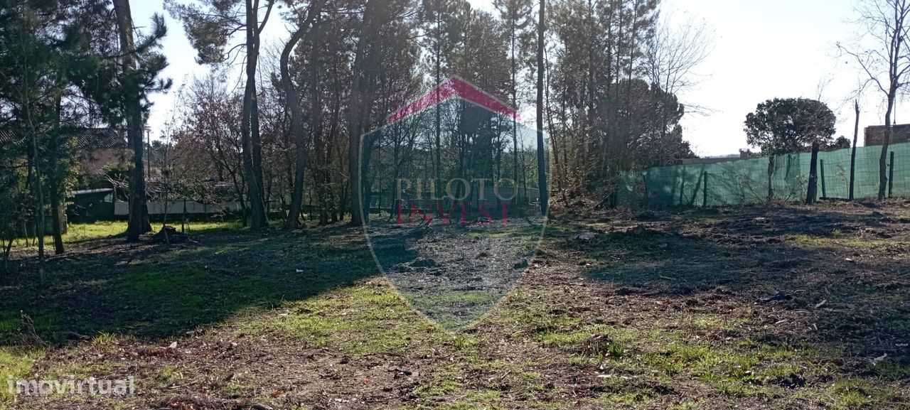 Lote de Terreno  Venda em Faíl e Vila Chã de Sá,Viseu