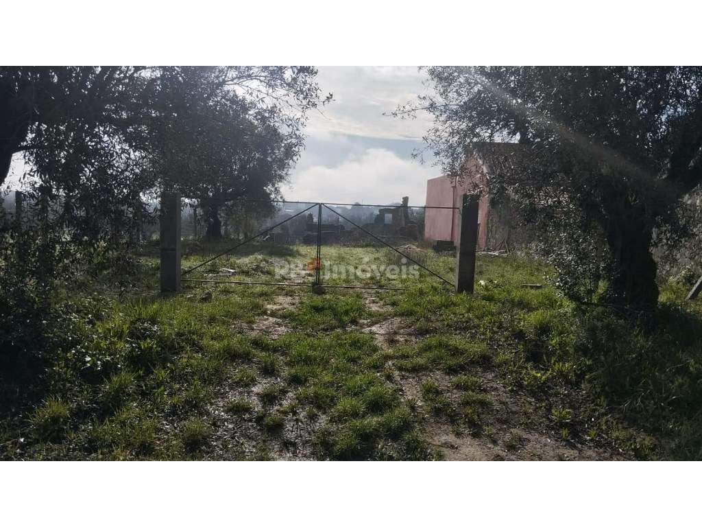 Terreno misto com 3080 m2, em Delongo - Grande imagem: 2/14