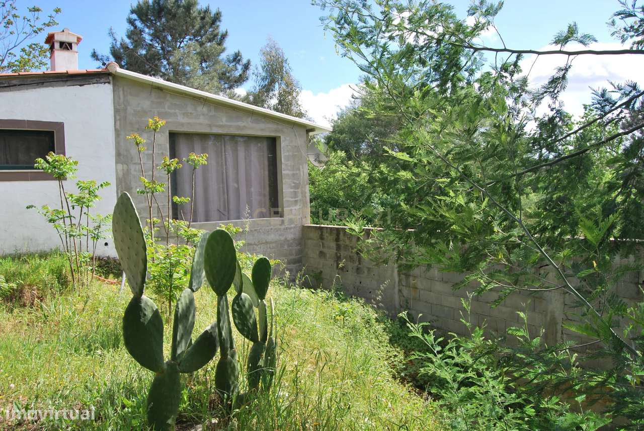 Terreno rústico 28200m2 em Vale do Junco, Chamusca, Golegã-9