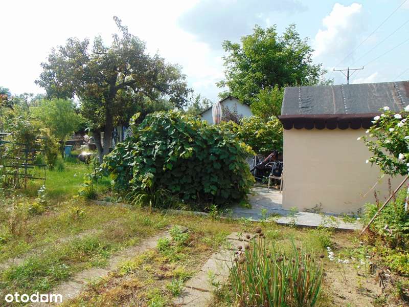 Działka ogrodowa ROD „BARBARA”-4