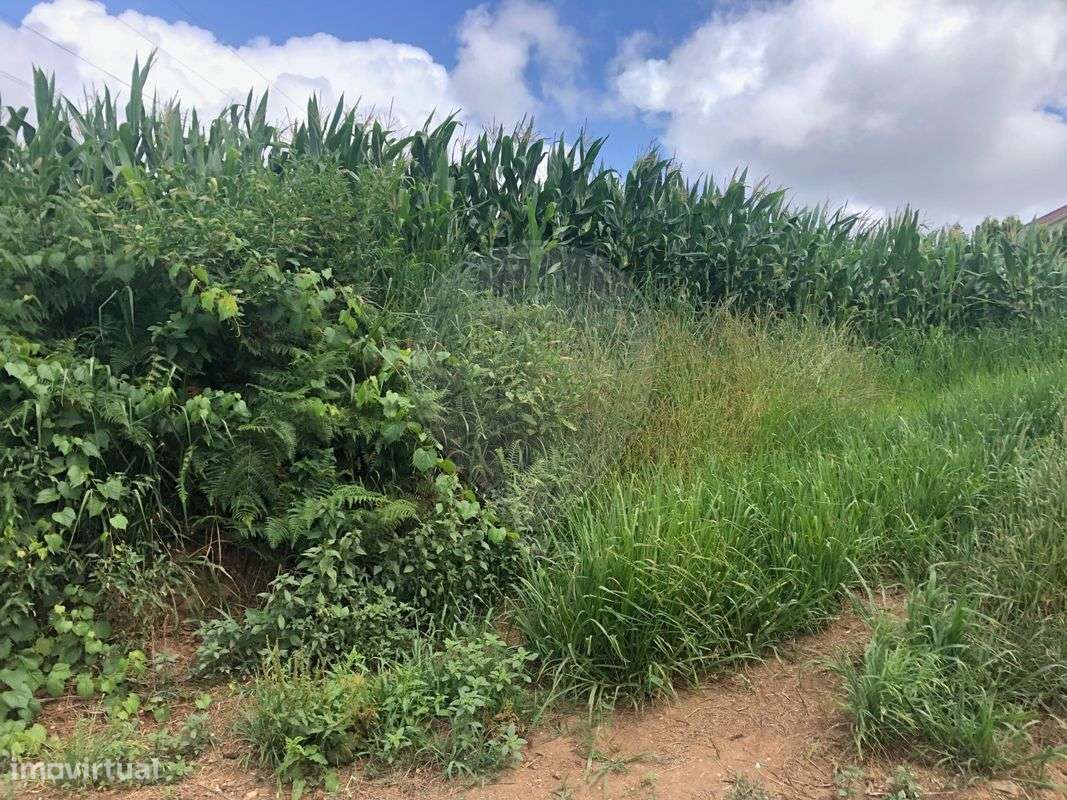 Terreno  para venda - Grande imagem: 4/5