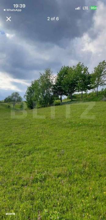 Teren intravilan de vanzare, 2500 mp, comuna Vidra - Imagine principală: 4/5