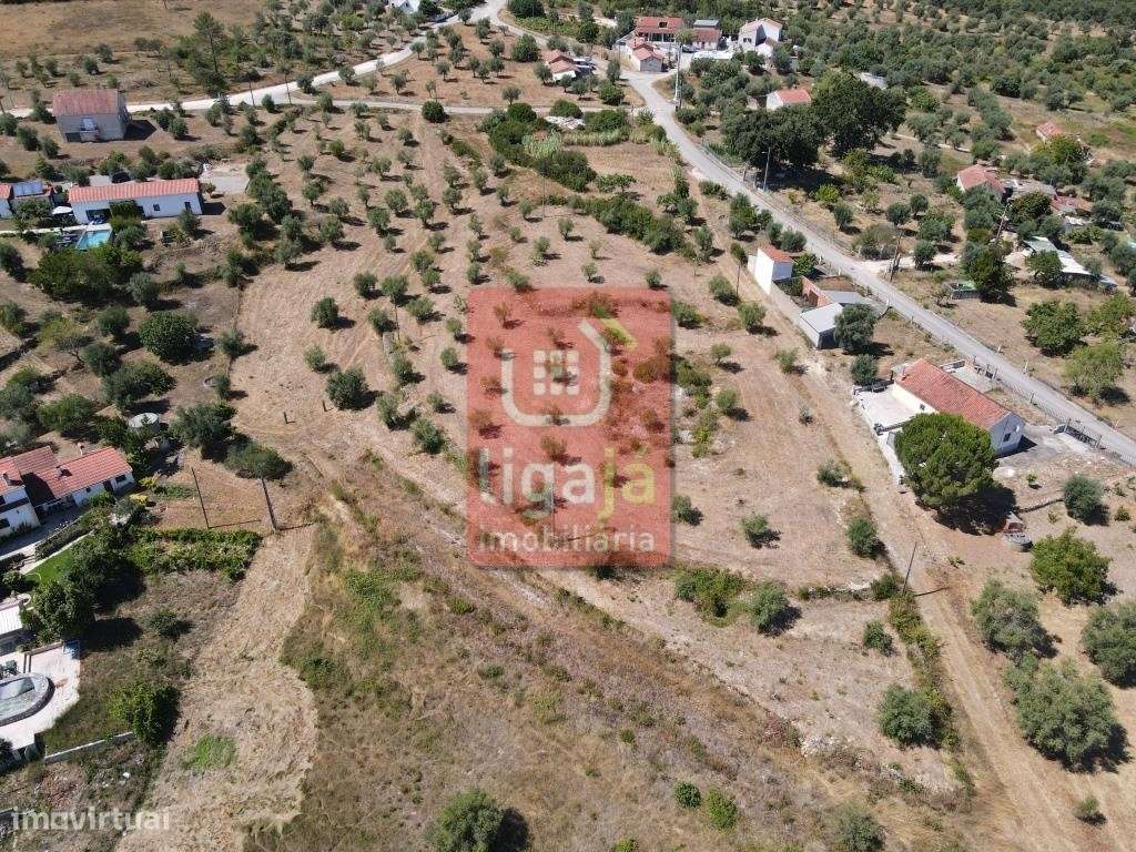 Lotes p/Construção - Seiça! - Grande imagem: 5/5