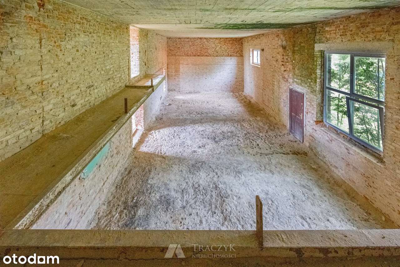 Budynek do remontu - Pełny obrazek: 4/20