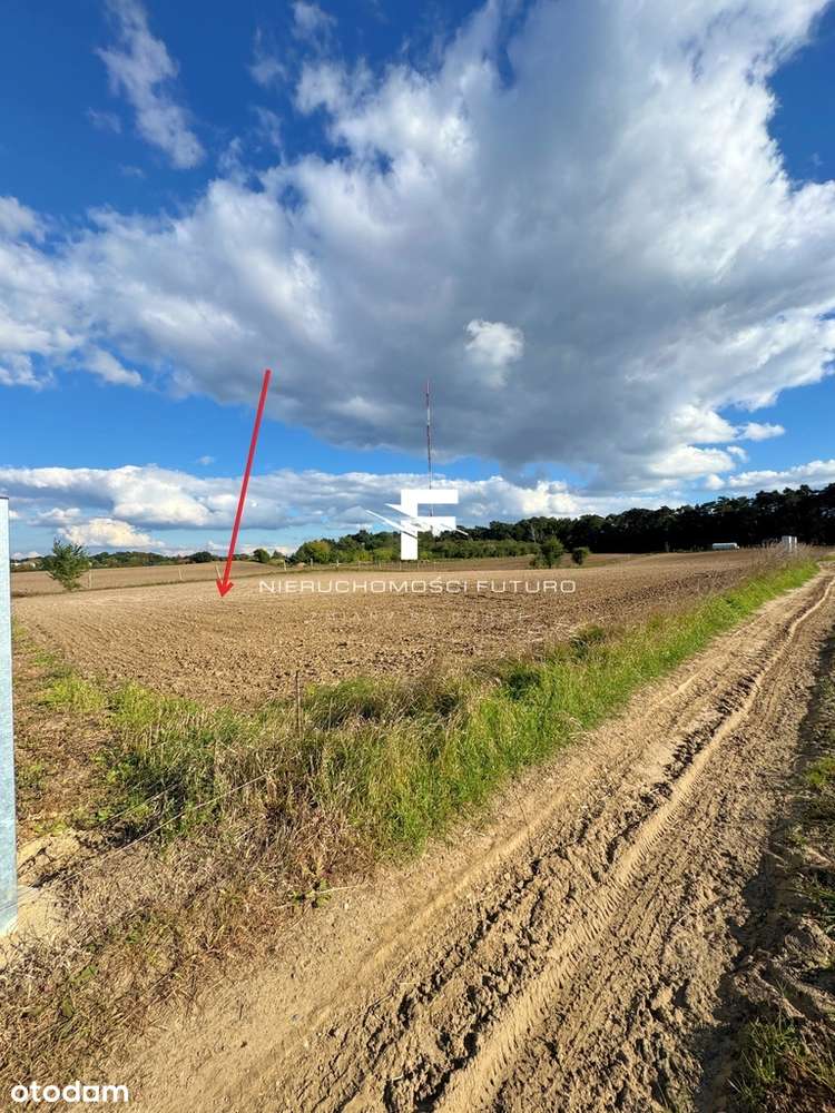 Ładna działka blisko lasu z Planem Góra/Śrem-3