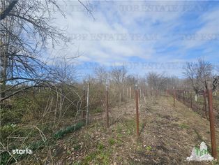 Teren 2400mp stradal + casa batraneasca in Mihai Voda Giurgiu - Imagine principală: 2/5
