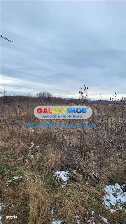 Vindem teren intravilan 3500 mp Smeura - Imagine principală: 4/6