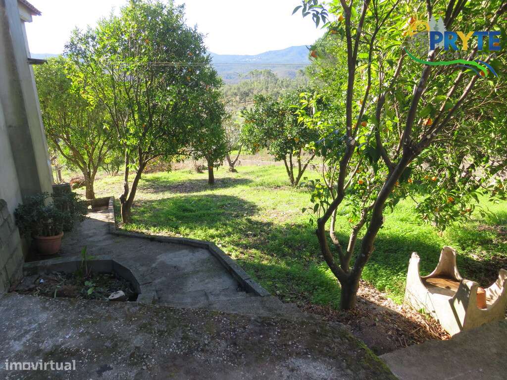 Moradia T5 situada a 10 minutos de Vila de Rei-11