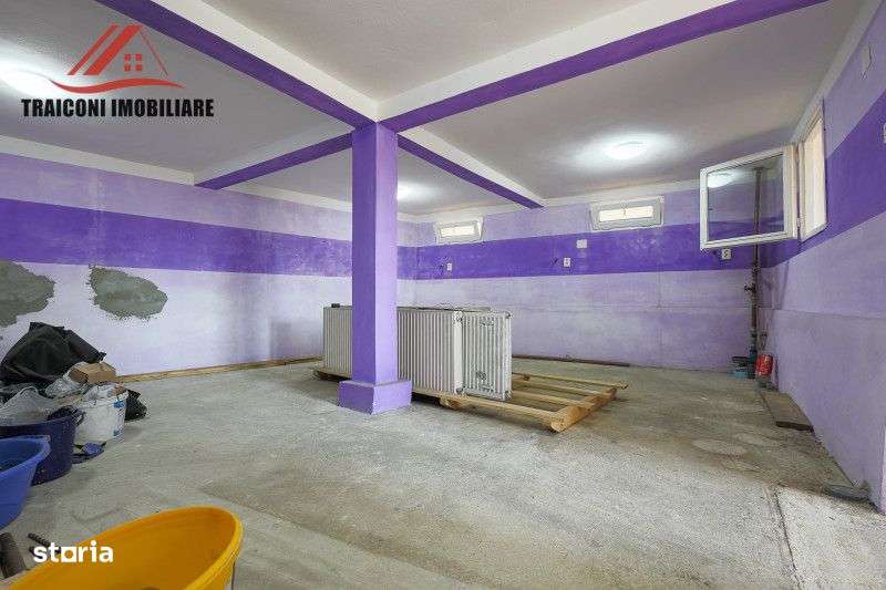 Cladire pensiune-restaurant cu hala si teren 7300mp, Faget ( Timis )-10