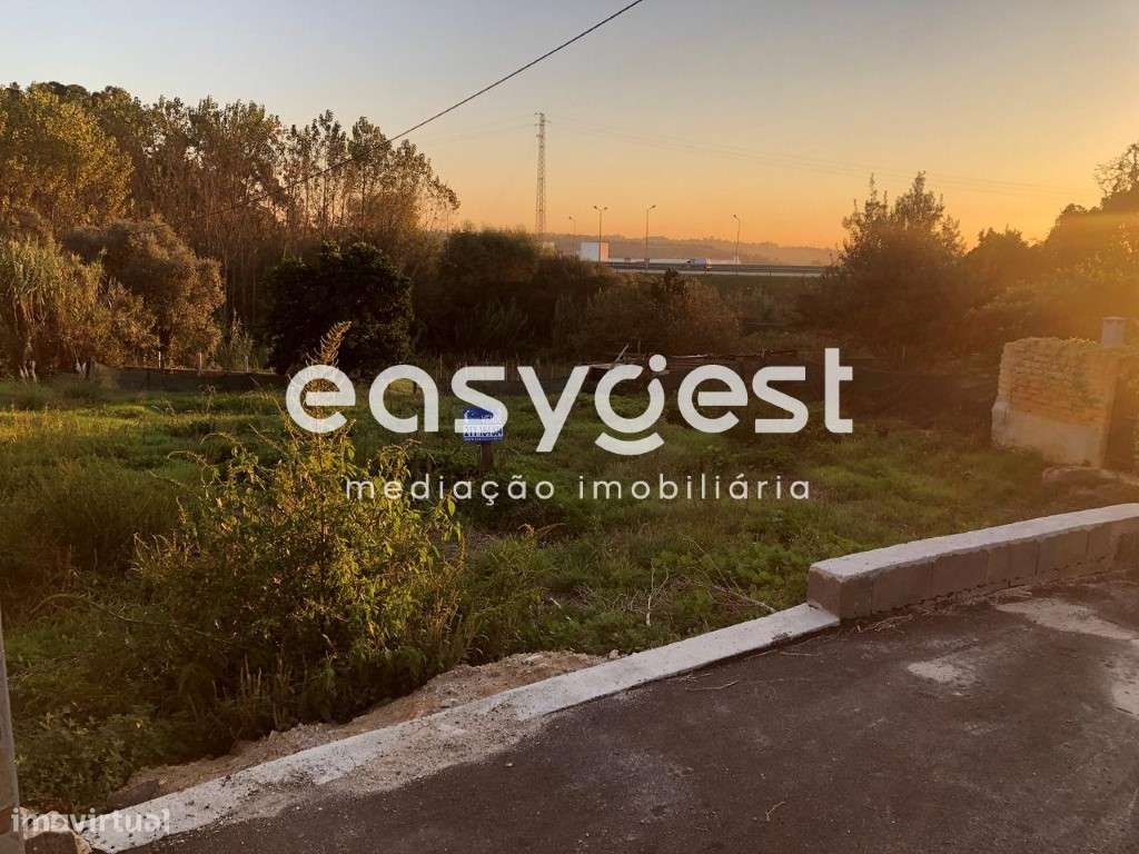 Terreno para construção do centro de Oliveira do Bairro - Grande imagem: 4/5