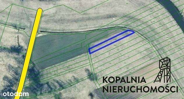 Działki rolne i tereny leśne/Wąsosz/Koniecpol! - Pełny obrazek: 4/19