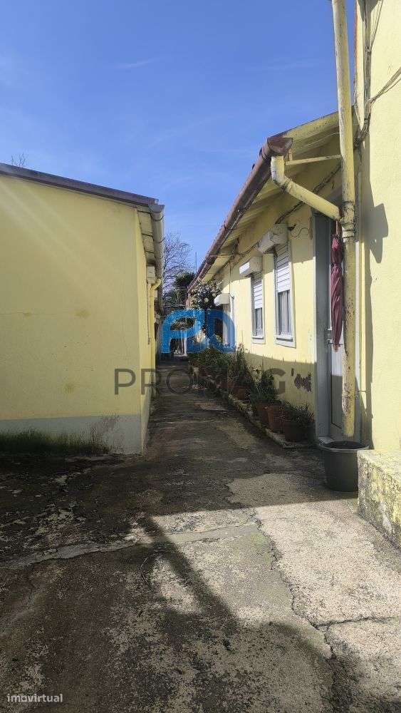 Moradias inseridas em lote urbano de 636 m² | Boavista, Porto-6