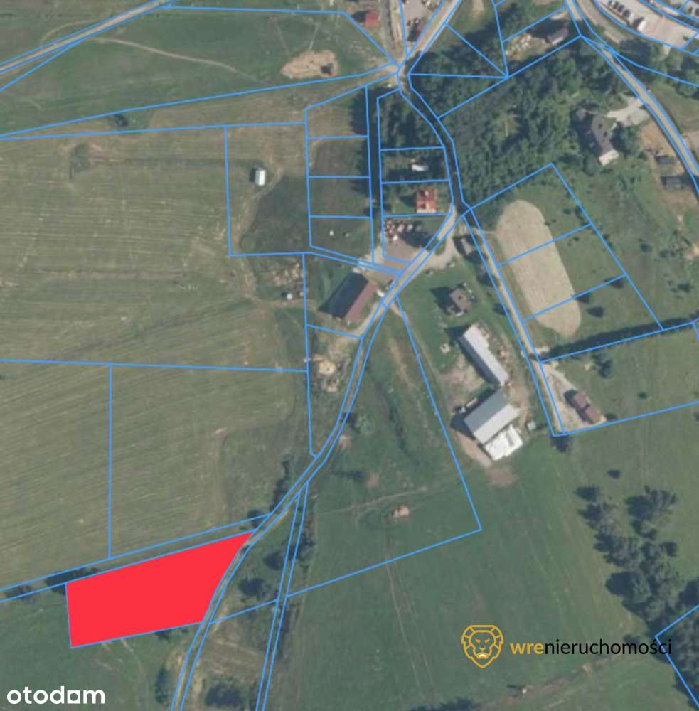 Warunki Zabudowy - 5 domów lub hotel z restauracją-6