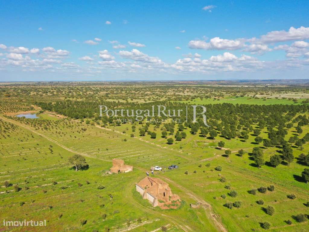 Herdades de Caça com 1300 Hectares, junto do rio Guadiana-43