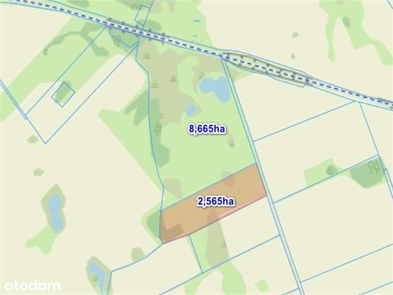 Działka rolna 11 ha-siedlisko, inwestycja, OZE-12