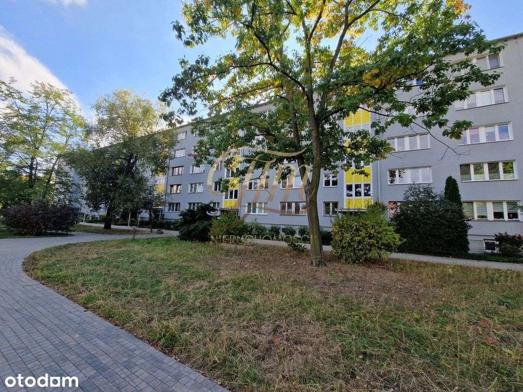 Nowa okazyjna cena! Do wprowadzenia się!-9