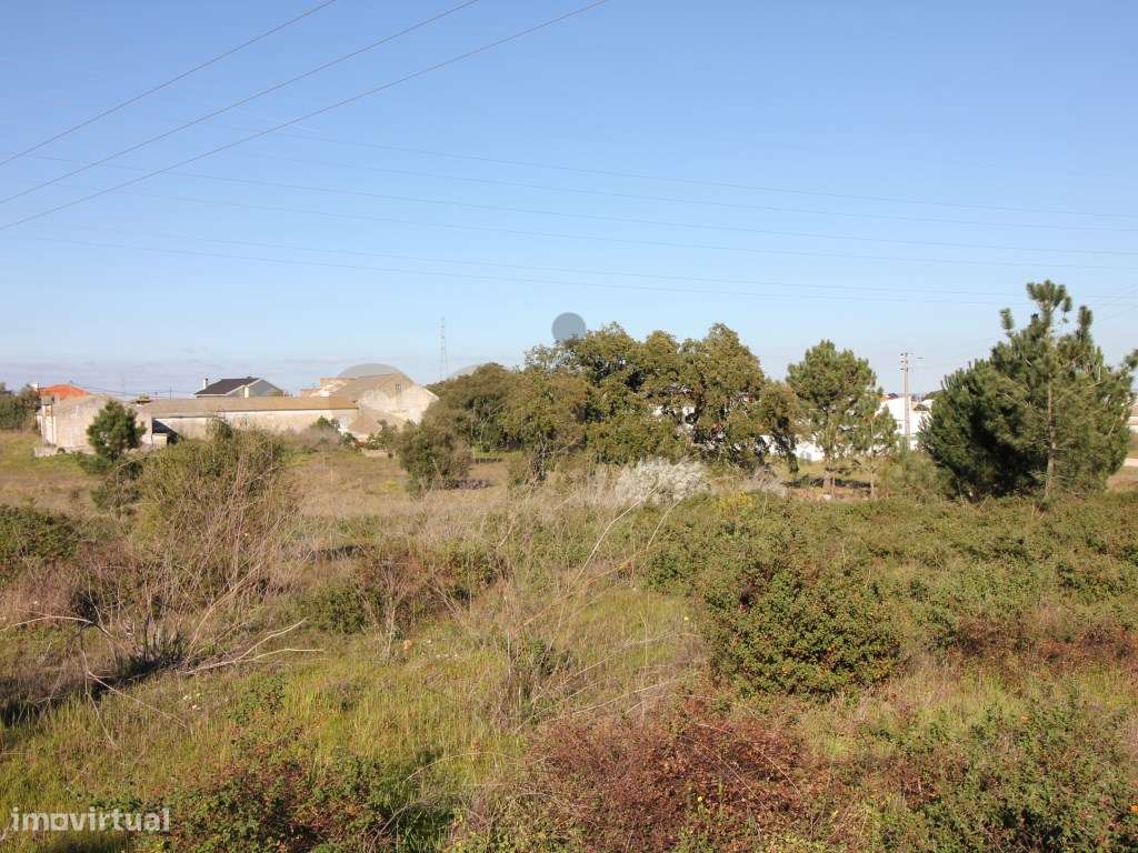 Terreno Misto em Palmela com Adega para Recuperar Loteamento - Grande imagem: 3/40