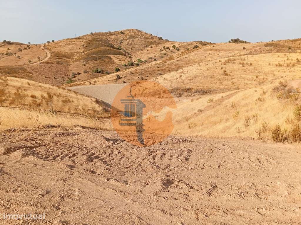 Terreno Rustico com plantação de alfarrobeiras-12