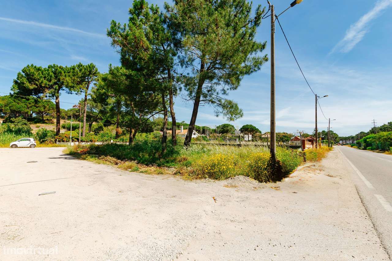 Terreno Urbano na Charneca de Caparica | Pinhal da Aroeira-6