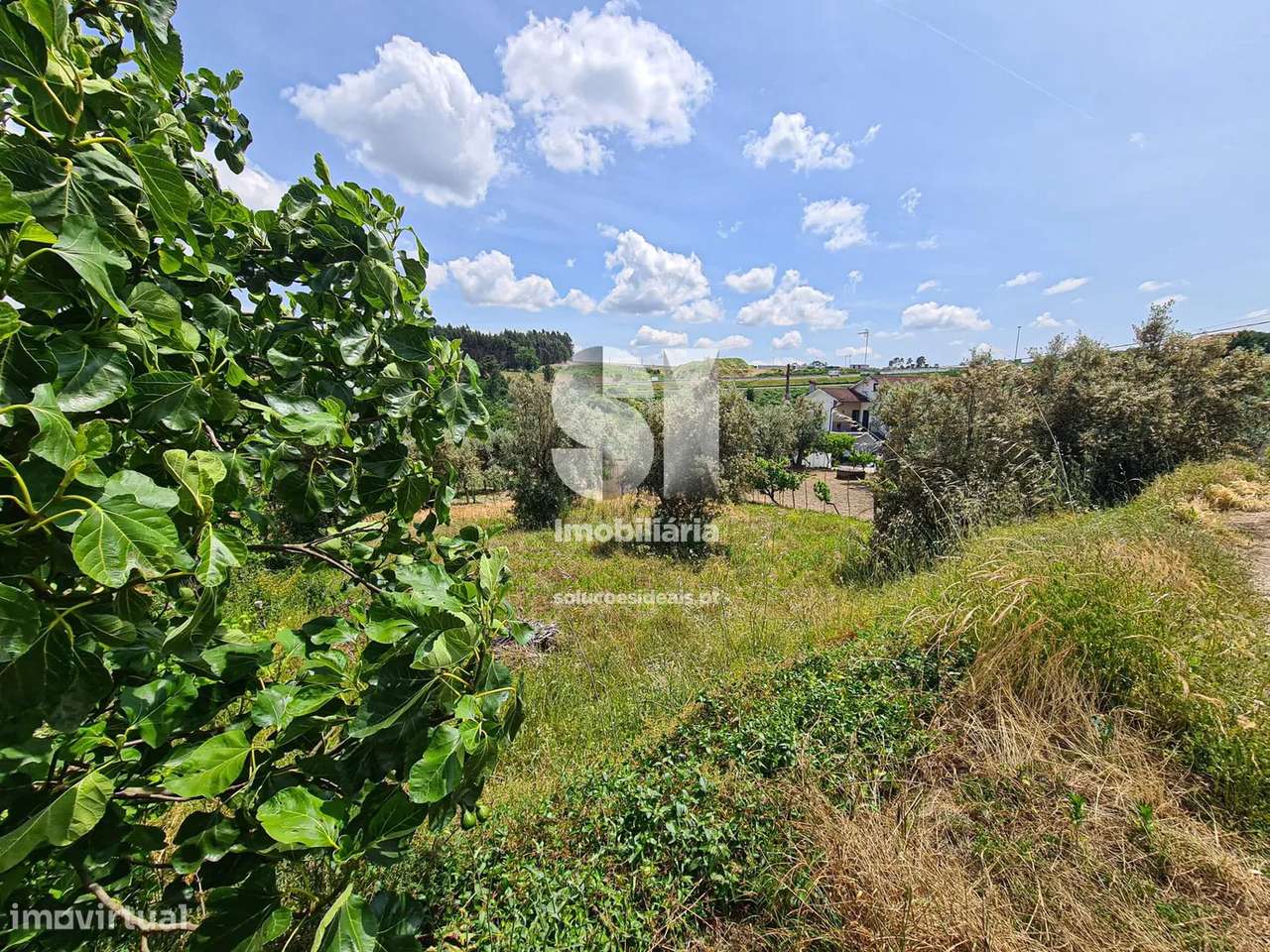 Terreno em Viseu - Grande imagem: 4/17