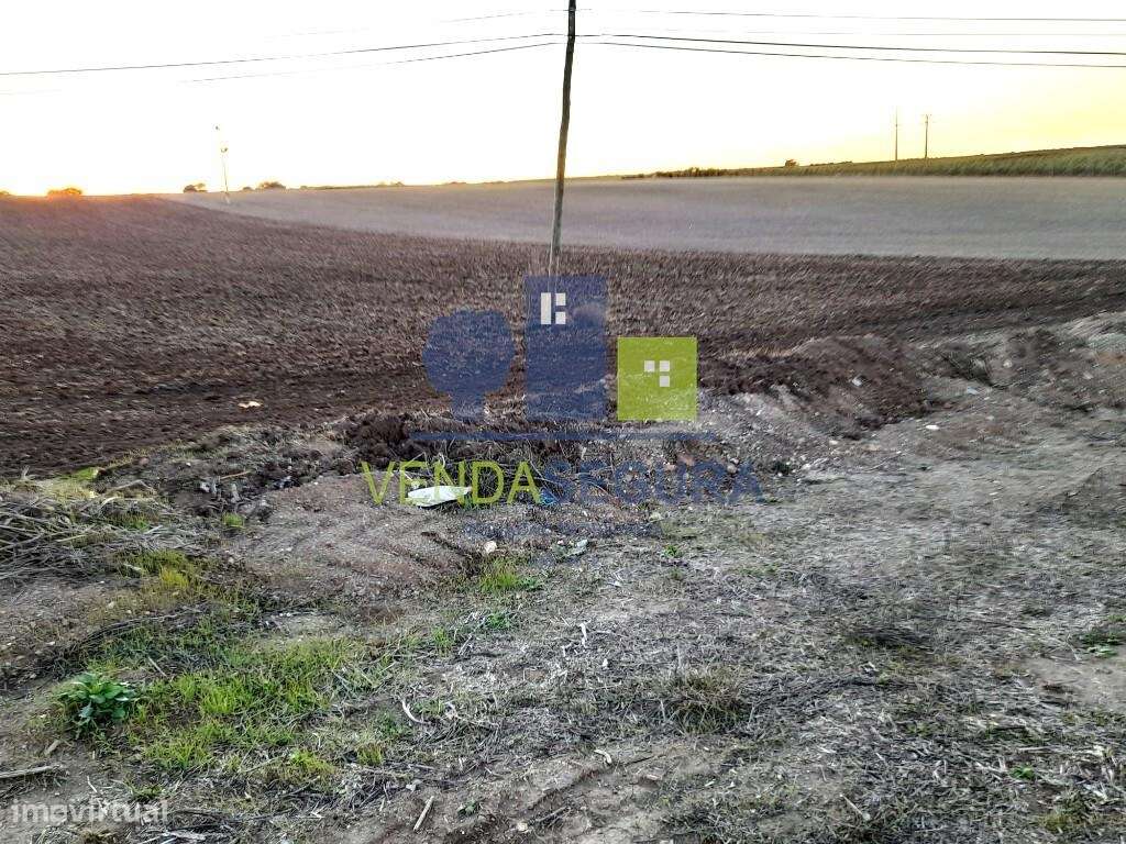 Terreno Rústico em Peroguarda com 2,8 ha | Potencial de Construção - Grande imagem: 4/7