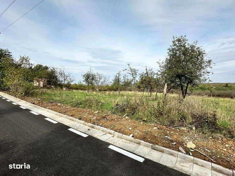 Ofer spre vanzare teren Intravilan în Viile Satu Mare - Imagine principală: 4/8