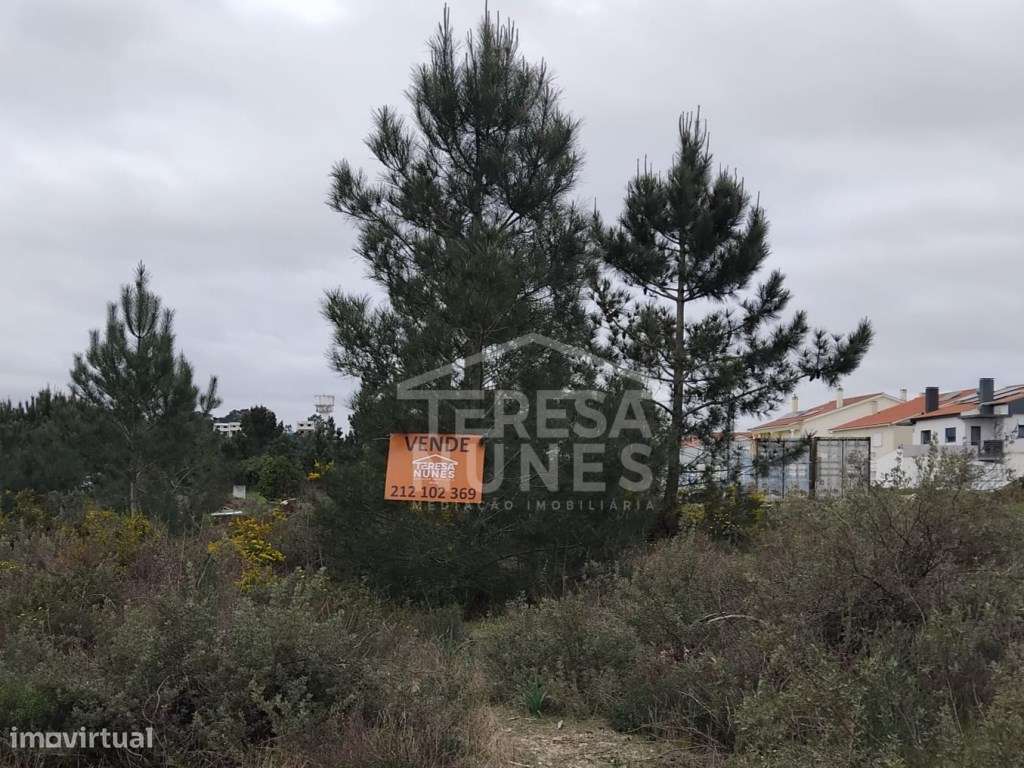TERRENO URBANO (CONSTRUÇÃO DE BANDA ) - RIBEIRA DO MARCHANTE/ QUINT...-1
